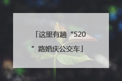 这里有趟“520”路婚庆公交车