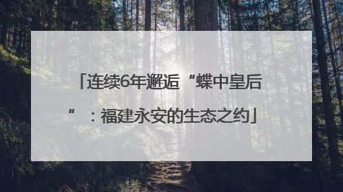 连续6年邂逅“蝶中皇后”：福建永安的生态之约