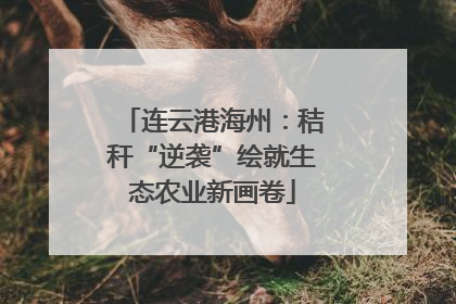 连云港海州：秸秆“逆袭”绘就生态农业新画卷