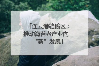 连云港赣榆区：推动海苔老产业向“新”发展