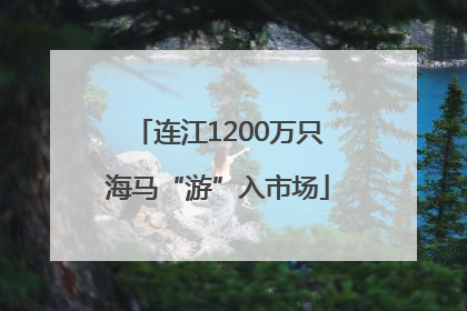 连江1200万只海马“游”入市场