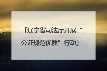 辽宁省司法厅开展“公证规范优质”行动