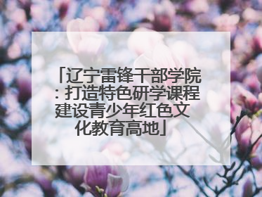 辽宁雷锋干部学院：打造特色研学课程 建设青少年红色文化教育高地