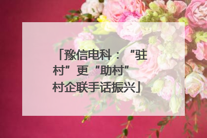 豫信电科：“驻村”更“助村” 村企联手话振兴