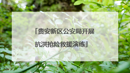 贵安新区公安局开展抗洪抢险救援演练