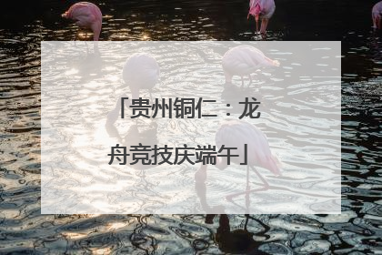 贵州铜仁：龙舟竞技庆端午