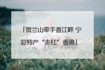 贺兰山牵手香江畔 宁夏特产“走红”香港