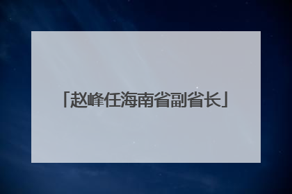 赵峰任海南省副省长