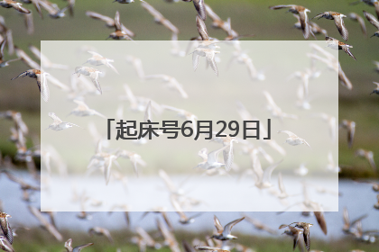 起床号6月29日