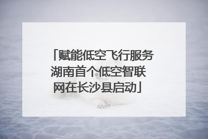 赋能低空飞行服务 湖南首个低空智联网在长沙县启动
