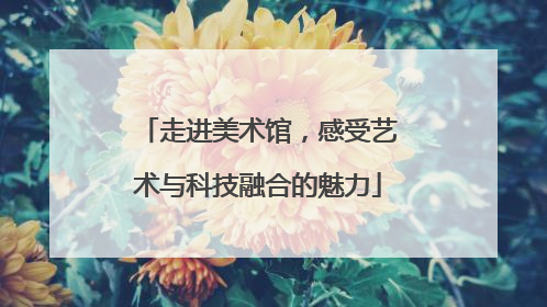 走进美术馆，感受艺术与科技融合的魅力