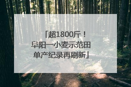 超1800斤！阜阳一小麦示范田单产纪录再刷新
