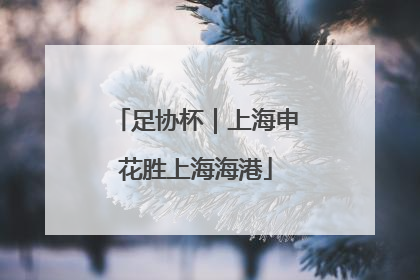 足协杯｜上海申花胜上海海港