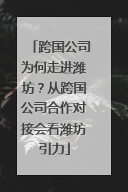 跨国公司为何走进潍坊？从跨国公司合作对接会看潍坊引力