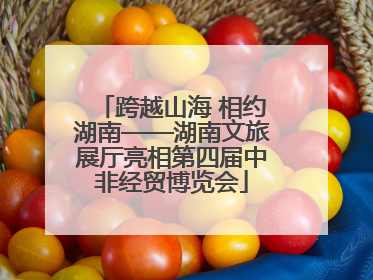 跨越山海 相约湖南——湖南文旅展厅亮相第四届中非经贸博览会