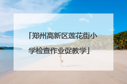 郑州高新区莲花街小学检查作业促教学