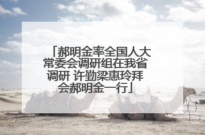 郝明金率全国人大常委会调研组在我省调研 许勤梁惠玲拜会郝明金一行