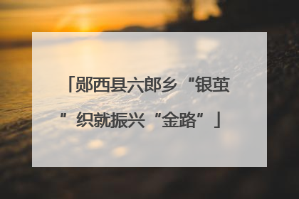 郧西县六郎乡“银茧”织就振兴“金路”