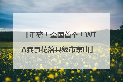 重磅！全国首个！WTA赛事花落县级市京山