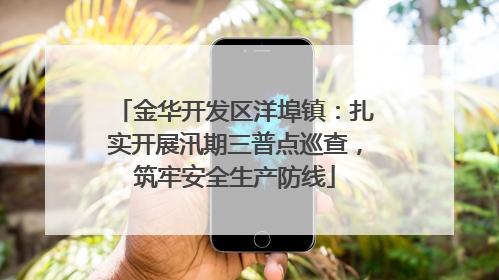 金华开发区洋埠镇：扎实开展汛期三普点巡查，筑牢安全生产防线