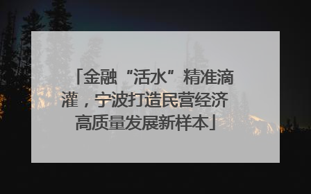 金融“活水”精准滴灌，宁波打造民营经济高质量发展新样本