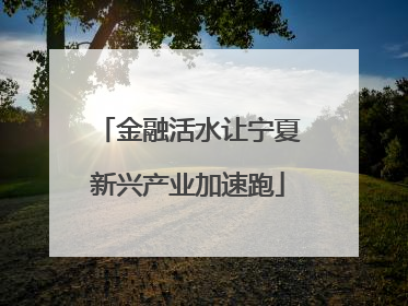 金融活水让宁夏新兴产业加速跑