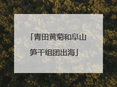 青田黄菊和阜山笋干组团出海