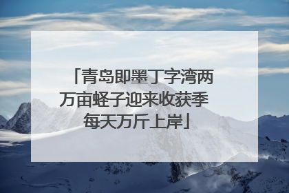 青岛即墨丁字湾两万亩蛏子迎来收获季 每天万斤上岸