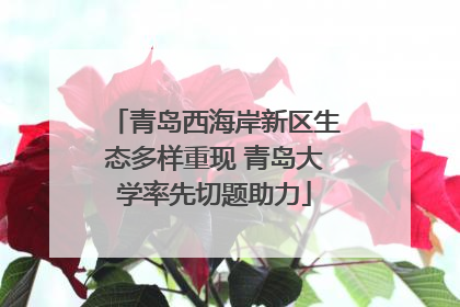 青岛西海岸新区生态多样重现 青岛大学率先切题助力