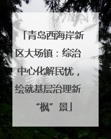 青岛西海岸新区大场镇：综治中心化解民忧，绘就基层治理新“枫”景