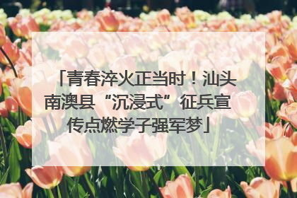 青春淬火正当时！汕头南澳县“沉浸式”征兵宣传点燃学子强军梦