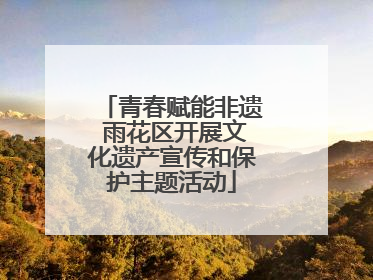 青春赋能非遗 雨花区开展文化遗产宣传和保护主题活动