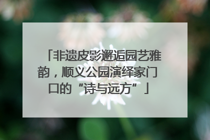 非遗皮影邂逅园艺雅韵，顺义公园演绎家门口的“诗与远方”