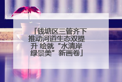 钱塘区三管齐下推动河道生态双提升 绘就“水清岸绿景美”新画卷