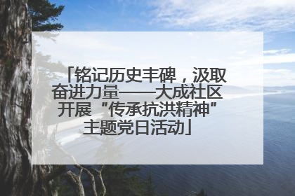 铭记历史丰碑，汲取奋进力量——大成社区开展“传承抗洪精神”主题党日活动