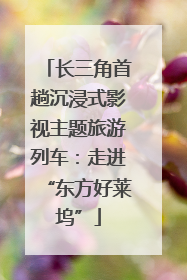 长三角首趟沉浸式影视主题旅游列车：走进“东方好莱坞”