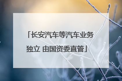 长安汽车等汽车业务独立 由国资委直管