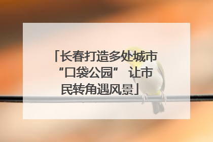 长春打造多处城市“口袋公园” 让市民转角遇风景