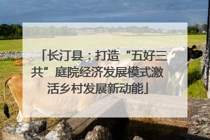 长汀县：打造“五好三共”庭院经济发展模式激活乡村发展新动能