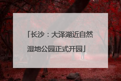 长沙：大泽湖近自然湿地公园正式开园
