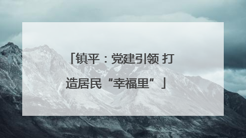 镇平：党建引领 打造居民“幸福里”