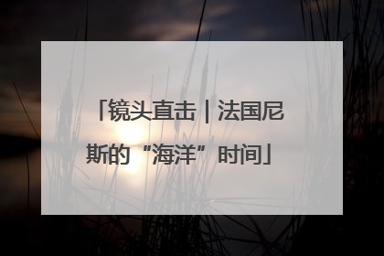 镜头直击｜法国尼斯的“海洋”时间