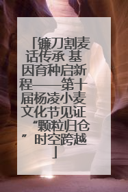 镰刀割麦话传承 基因育种启新程——第十届杨凌小麦文化节见证“颗粒归仓”时空跨越