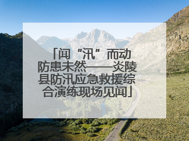 闻“汛”而动 防患未然——炎陵县防汛应急救援综合演练现场见闻