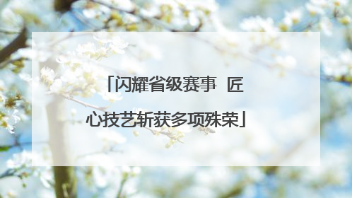 闪耀省级赛事  匠心技艺斩获多项殊荣