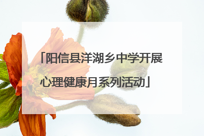 阳信县洋湖乡中学开展心理健康月系列活动