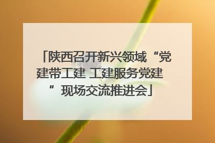 陕西召开新兴领域“党建带工建 工建服务党建”现场交流推进会