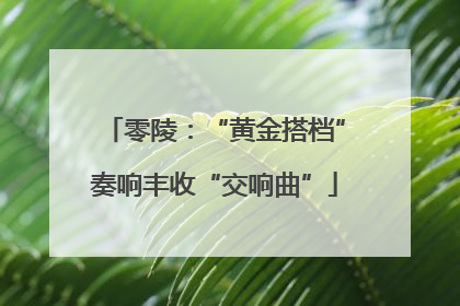 零陵：“黄金搭档”奏响丰收“交响曲”