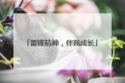 雷锋精神，伴我成长
