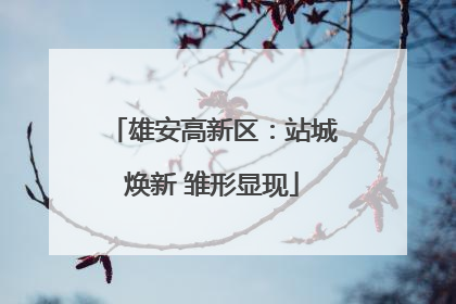 雄安高新区：站城焕新 雏形显现